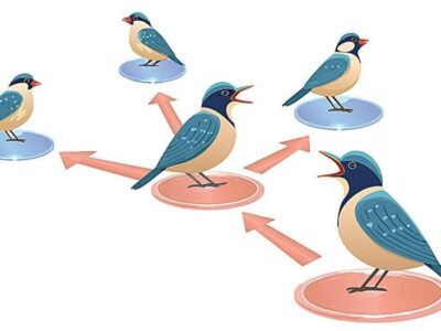 حیوانات هم فیک نیوز منتشر میکنند / کشف راز اطلاعات غلط در طبیعت