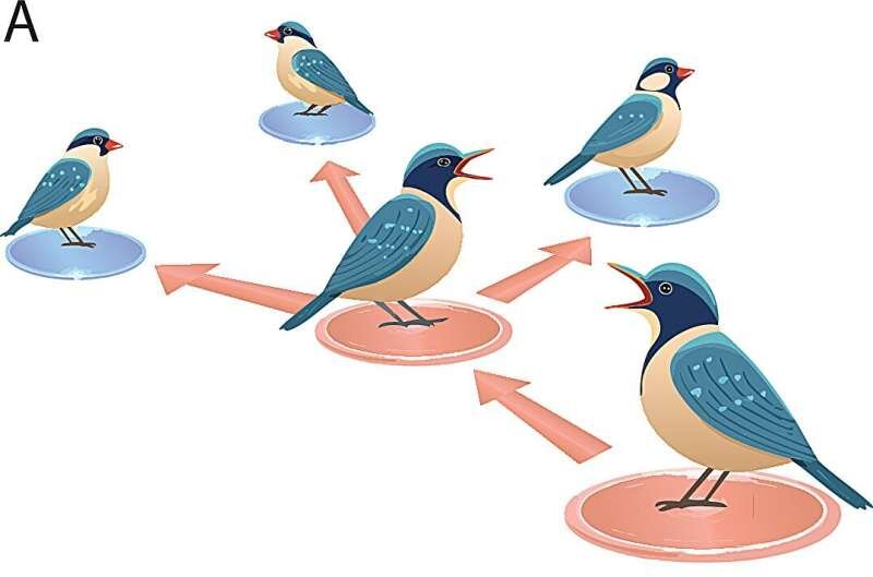 حیوانات هم فیک نیوز منتشر میکنند / کشف راز اطلاعات غلط در طبیعت حیوانات هم فیک نیوز منتشر میکنند / کشف راز اطلاعات غلط در طبیعت