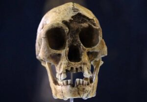 خشکسالی، گرسنگی و مواجهه با انسان خردمند، آخرین فصل زندگی هابیتها را رقم زد