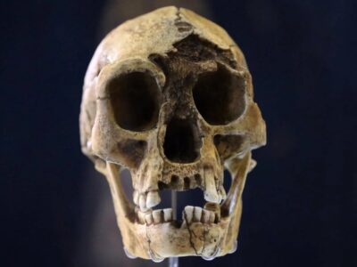 خشکسالی، گرسنگی و مواجهه با انسان خردمند، آخرین فصل زندگی هابیتها را رقم زد