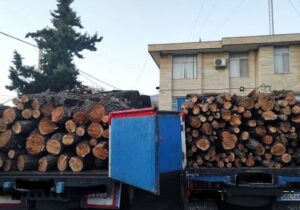 ۲دستگاه خودرو حامل ۸ تن هیزم جنگلی در استان اردبیل توقیف شد