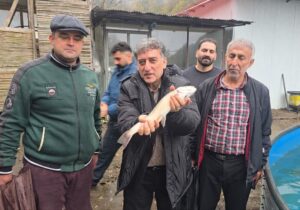 فرماندار رودسر :تولید ماهیان سردابی و خاویاری رودسر ظرفیت صادراتی بالایی دارد