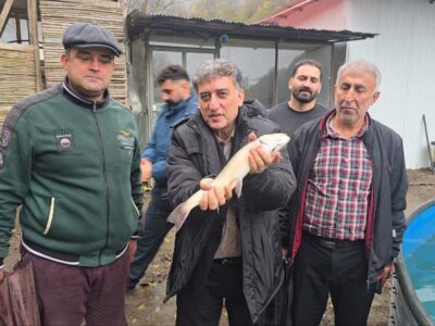 فرماندار رودسر :تولید ماهیان سردابی و خاویاری رودسر ظرفیت صادراتی بالایی دارد