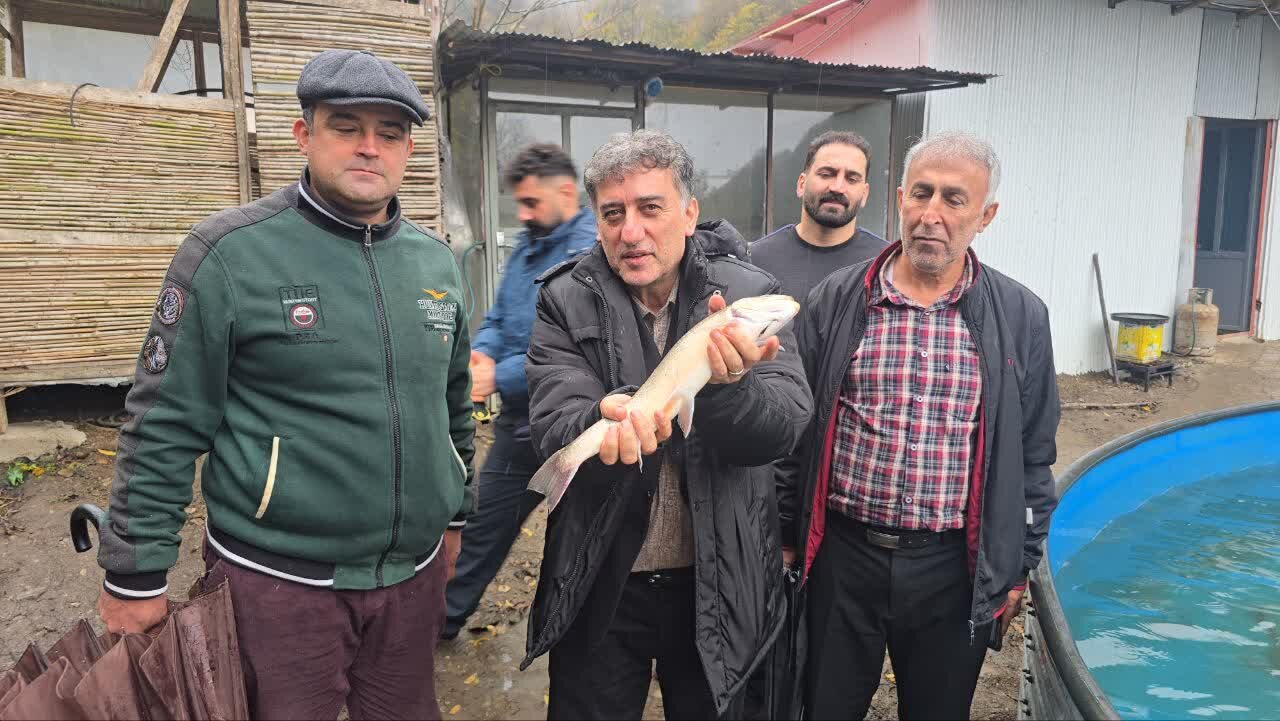 فرماندار رودسر :تولید ماهیان سردابی و خاویاری رودسر ظرفیت صادراتی بالایی دارد