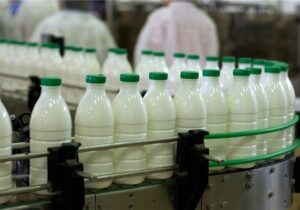 قیمتهای جدید لبنیات مصوب شد/ شیر، پنیر و ماست چه قیمتی پیدا کرد؟