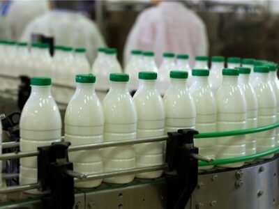 قیمتهای جدید لبنیات مصوب شد/ شیر، پنیر و ماست چه قیمتی پیدا کرد؟
