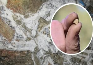 رونمایی از ذخایر عظیم طلا که سال‌ها پنهان مانده بود / فوران طلا از دل زمین