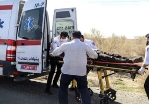 برخورد خودروی پژو با دیوار/ آمار مصدومان