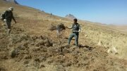 رفع تصرف ۵۷۵۶ مترمربع از اراضی ملی منطقه حفاظت‌شده شیدا شهرستان بن