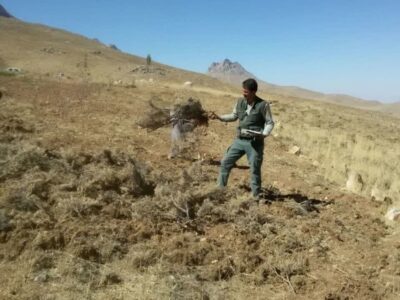 رفع تصرف ۵۷۵۶ مترمربع از اراضی ملی منطقه حفاظت‌شده شیدا شهرستان بن