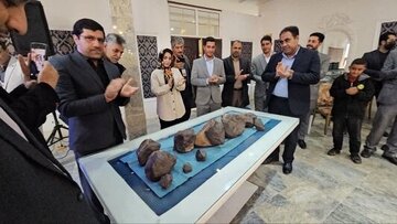 برگزاری جشنواره شهاب‌سنگ و گوهرسنگ زرند