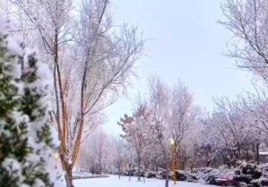 ببینید | ذوق‌زدگی بانوی ابیانه‌ای از بارش برف در استان اصفهان