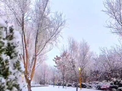 ببینید | ذوق‌زدگی بانوی ابیانه‌ای از بارش برف در استان اصفهان