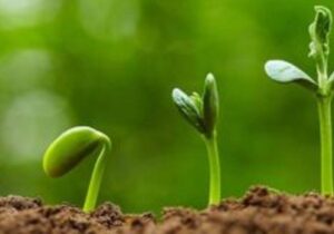 چرا قرآن جوانی را دوران طلایی می‌داند؟