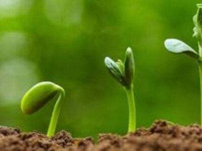 چرا قرآن جوانی را دوران طلایی میداند؟