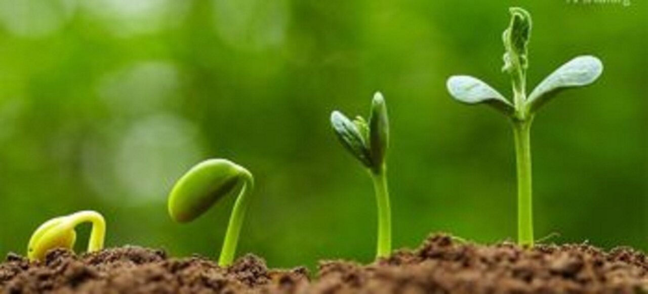 چرا قرآن جوانی را دوران طلایی می‌داند؟