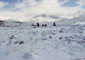 ببینید | بارش باورنکردنی برف در کویر مصر