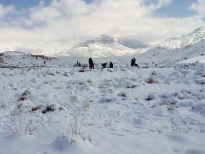 ببینید | بارش باورنکردنی برف در کویر مصر