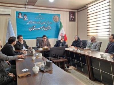 برگزاری نشست هم‌اندیشی تخصصی شرکت‌های تابعه وزارت کار مستقر در لرستان