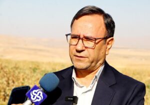 استمرار تولید گوشت مرغ در لرستان با رشد چشمگیر جوجهریزی