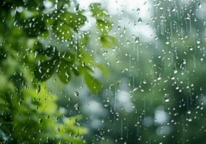 باران به عنوان نماد رحمت، برکت و امید