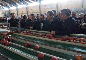 سردخانه ۲۰۰۰ تنی و ۲ واحد سورتینگ بسته‌بندی میوه در اشنویه افتتاح شدند