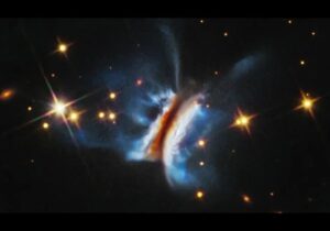 این «ساندویچ دراکولا» است