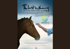 راهیابی «آخرین شیهه…» به جشنواره شنژن چین/ نامزدی جایزه بهترین فیلم‌برداری 