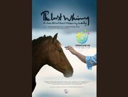 راهیابی «آخرین شیهه...» به جشنواره شنژن چین/ نامزدی جایزه بهترین فیلم‌برداری 