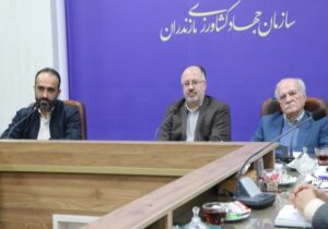 لزوم ایجاد صندوق حمایت برنج و بازنگری در کل زنجیره تولید در مازندران