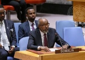 سومالی ریاست شورای امنیت را بر عهده میگیرد