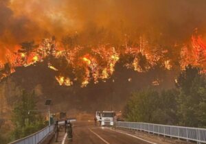 ببینید | آتشسوزی گسترده در فیلیپین