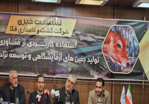 دام‌های داخلی، از برترین دام های جهان هستند