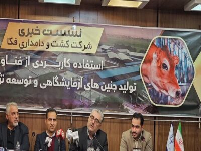 دام‌های داخلی، از برترین دام های جهان هستند