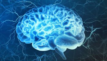 سخن پیامبر(ص) که در دانشگاه برگن نروژ ثابت شد!