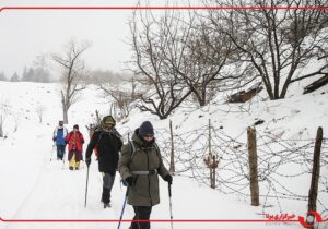 نشاط و برف بازی شهروندان در دماوند