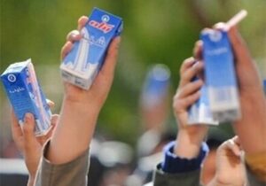 ۱۲۴ هزار دانش‌آموز استان بوشهر از شیر رایگان بهره‌مند شدند