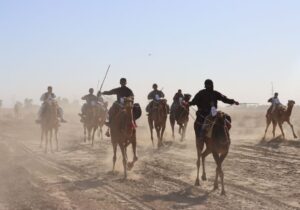 برگزاری مسابقات شترسواری با حضور نمایندگان پنج استان در دلگان