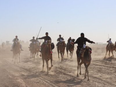برگزاری مسابقات شترسواری با حضور نمایندگان پنج استان در دلگان