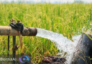 مدیریت مصرف آب کشاورزی با هیدروژل‌های زیست‌تخریب‌پذیر