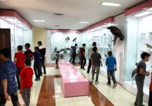 سهم ۸۰ درصدی نوجوانان از بازدیدهای موزه تاریخ طبیعی آذربایجان‌غربی