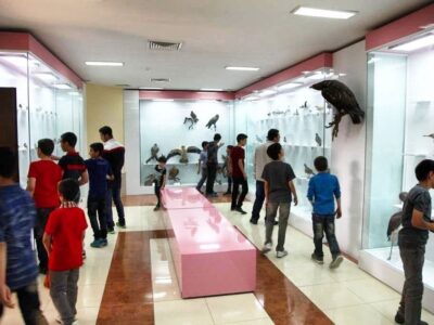 سهم ۸۰ درصدی نوجوانان از بازدیدهای موزه تاریخ طبیعی آذربایجان‌غربی