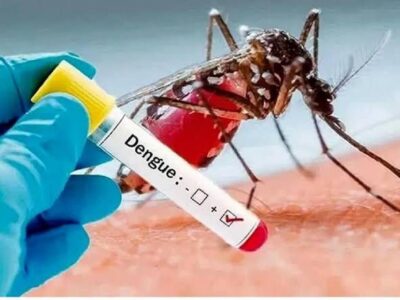 تب دانگی؛ عامل خونریزی داخلی و فعال شدن فاکتور‌های انعقادی