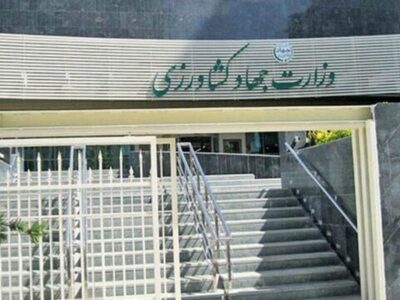 معاون وزیر جهاد کشاورزی: وزارت جهاد کشاورزی در صف نخست جنگ اقتصادی و امنیت غذایی است