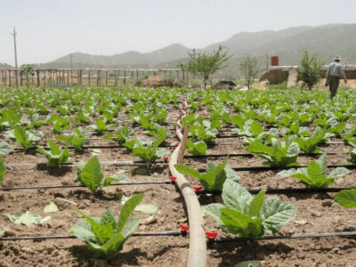 فاز اول آبرسانی به دشت سیروان ۸۰ درصد اجرایی شد