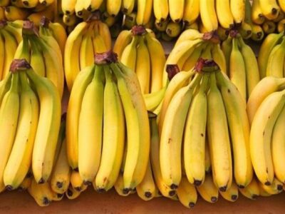 خودرو حامل ۴ تن موز قاچاق در توقیف پلیس رودان