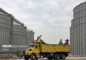 ۸۷ هزار تن گندم در سیلوی‌نکا تخلیه و بارگیری شد