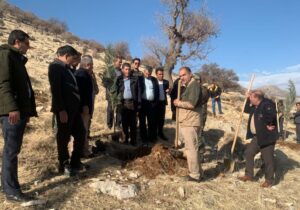 کاشت ۶۳ اصله نهال در هر شهرستان کهگیلویه و بویراحمد به نیت حاج قاسم