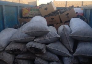 ۵ تُن چوب و ۵۵۰ کیلو زغال تاغ در فلاورجان کشف و ضبط شد