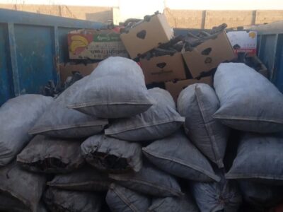 ۵ تُن چوب و ۵۵۰ کیلو زغال تاغ در فلاورجان کشف و ضبط شد